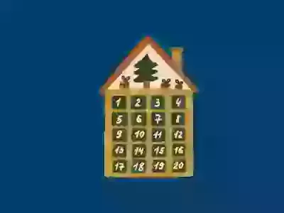 Coming Home for Christmas